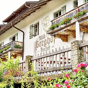  Gasthof Wild-berghof Buchet